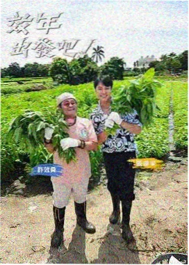 我的团长我的团剧集详情配图
